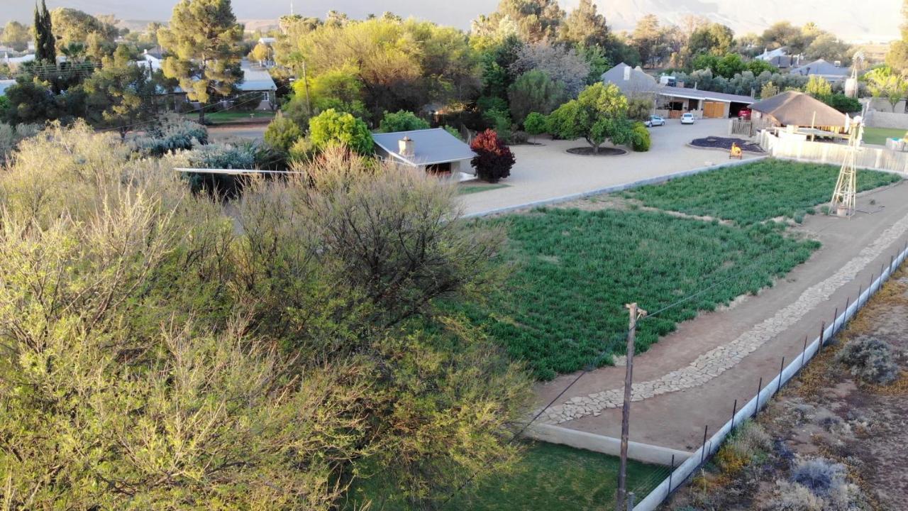 Tarantula Guest House Calvinia Exterior foto